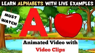 English Alphabets with live examples | Animated video with video clips | A for apple b for ball,abcd