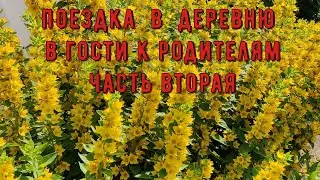 В гостях у родителей в деревне часть 2