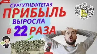 Сургутнефтегаз прибыль выросла в 22 раза. Дивиденды 18% за 2023. Покупать ли акции