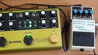 Strymon Volante vs Boss DD5 | Dotted Eight