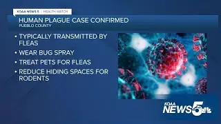 Pueblo health officials confirm human plague case in the county