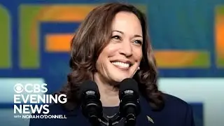 Kamala Harris clinches Democratic presidential nomination