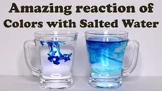 Colors reacting with Salt Water | Colorful Experiment with Water | Fundoor Amaze #Shorts