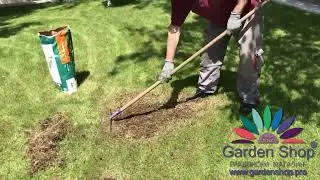 How to overseed a lawn in summer