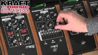 Kraft Music - Moog Moogerfooger MF-105M MIDI MuRF with Jake Widgeon