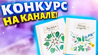 ОЧЕНЬ КРАСИВЫЕ КНИГИ! ДЛЯ ТЕХ КТО ЛЮБИТ ЧИТАТЬ! Книги Издательства МИФ! ЧТО ПОЧИТАТЬ ДЕТЯМ!