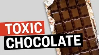 Beware of Toxic Chocolate: Heavy Metals Found in Major Brands