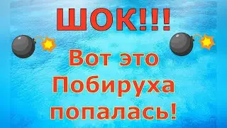 Деревенский дневник очень многодетной мамы \ ШОК!!! Вот это Побируха попалась! \ Обзор влогов