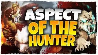 NEW HUNTER PET ADDON   ASPECT OF THE HUNTER! WORLD OF WARCRAFT