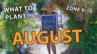 What To Plant - And What To NOT Plant - In August For Zones 9 & 10