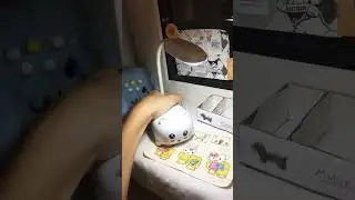 Новая канцелярия Милки 