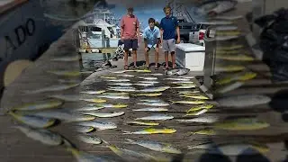 We Caught 63 Fish in ONLY 28 MINUTES!! (Gulf Stream out of OBX)