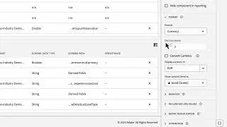 Currency Conversion in Customer Journey Analytics