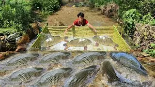 Boy Lam created an ancient fish trap, catching many big fish.