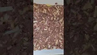 VENISON MEATLOAF #egg #outdoors #venison #hunting #deer #cooking #homecooked #meatloaf