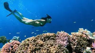 Is this the best place to snorkel in the Maldives?  Our Highlights