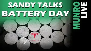 Sandy is Thrilled about Tesla's Battery Day & Begins Battery Mock-up