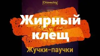 Chlovechig — Жирный клещ