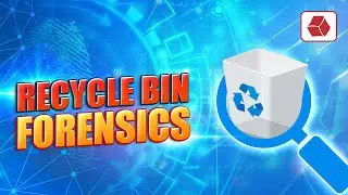 Recycle Bin Forensics