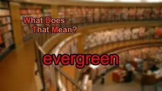 What does evergreen mean?