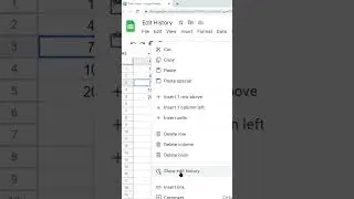 How to Show Edit History in Google Sheets