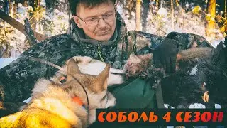 Соболь 4 сезон, 2 серия, Компас это нервы, Добыл глухаря, Лешик и Умка на перегонки за матерым котом