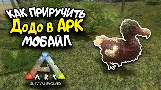 Как приручить Додо в АРК Мобайл | ARK Survival Evolved Mobile