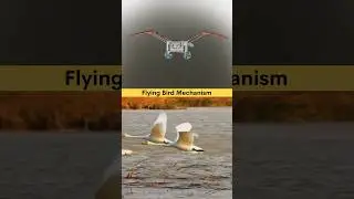 Mechanical Mechanism for Flying Bird 🦢 