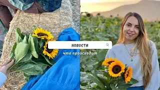 Новости из жизни