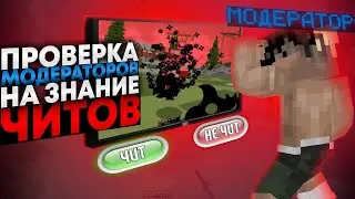 УГАДАЕТ ЛИ МОДЕРАТОР ГДЕ ЧИТ? / ПРОВЕРКА МОДЕРОВ VIMEWORLD #2