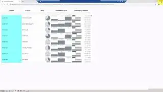 SAP Lumira Designer 2 X - Score card-  How to use a fraction pie