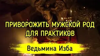 ПРИВОРОЖИТЬ МУЖСКОЙ РОД. ДЛЯ ПРАКТИКОВ. ВЕДЬМИНА ИЗБА ▶️ МАГИЯ