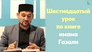 Шестнадцатый урок для желающих по книге имама Газали | Тулкын хазрат