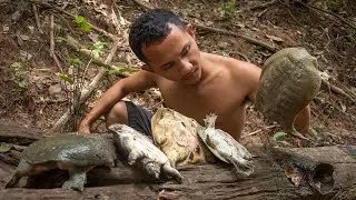 Wow! Catching turtles in the river & Cooking Turtle Eating Delicious In Forest