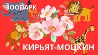 Зоопарк в Кирьят Моцкине.Израиль.