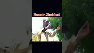 Hussain Zindabad|Karbala ko basaya|Qasida Hussain Zindabad