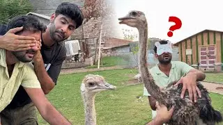 Guess The Surprise Animal Challenge With Turab 😍