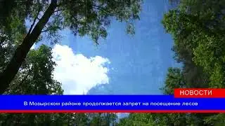 В Гомельской области действует ограничение или запрет на посещение лесов