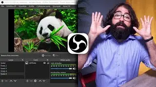 OBS STUDIO: tutorial base