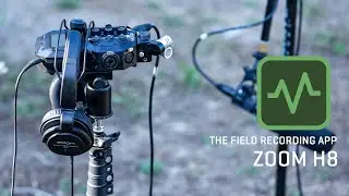 The Zoom H8 : The Field Recording App