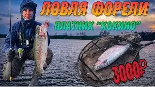 Ловля ФОРЕЛИ!!! ПЛАТНАЯ РЫБАЛКА!!! ЗА ДЕНЬГИ - ДА? НУ,НУ…..КОКИНО!!!