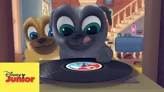 🎶 La Canción de Puppy Dog Pals