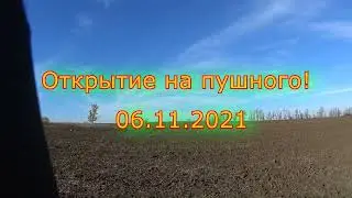 Охота на зайца-русака. 6.11.2021.