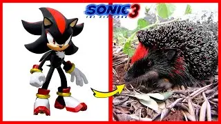 Sonic the Hedgehog 3 🔥 Real Life