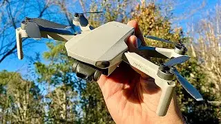 DJI Mavic Mini One Year Drone Review | Everything You Need to Know