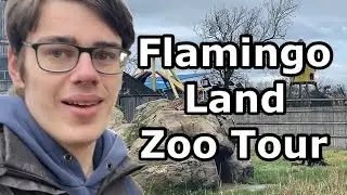 Zoo tour - Flamingo Land (January 2024)