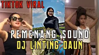 DJ LINTING DAUN VIRAL DI TIKTOK