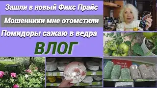 Зашли в новый Фикс Прайс/Как мошенники мне отомстили/Томаты сажаю в ведра/ВЛОГ@SubTatiana