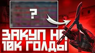 ЗАКУП ИНВЕНТАРЯ НА 10000 ГОЛДЫ В СТАНДОФ2 | ИНВЕНТАРЬ В СТАНДОФ2