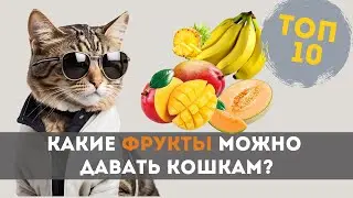 🍉 Какие Фрукты Можно Давать Кошкам (ТОП 10 известных фруктов)